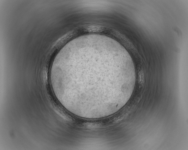 X0000110940733200907171607