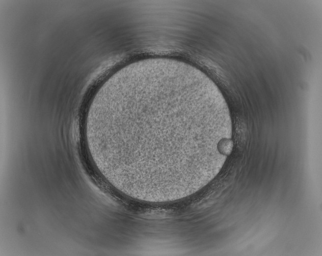 X0000110940734200907171607