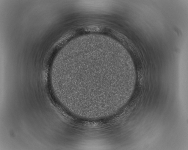 X0000110940735200907171607