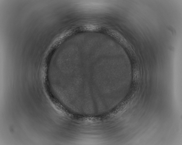 X0000110940736200907171607