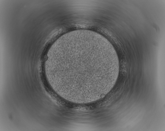 X0000110940738200907171607