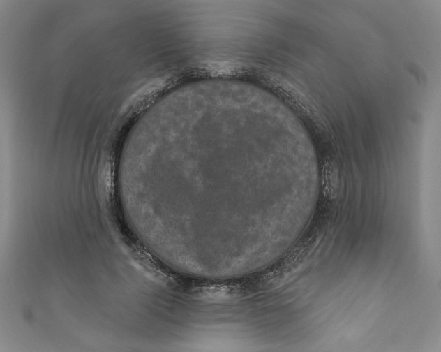 X0000110940740200907171607