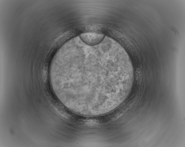 X0000110940741200907171607