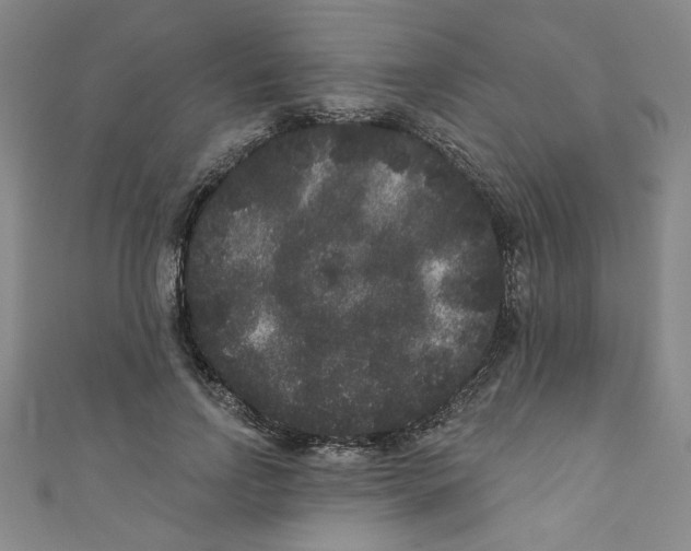 X0000110940742200907171607