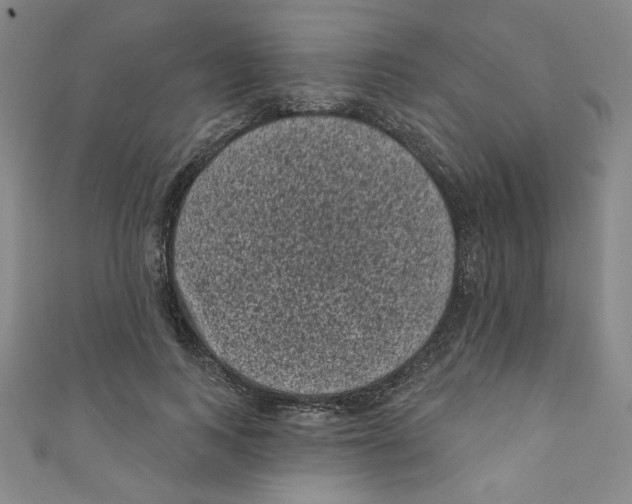 X0000110940743200907171607
