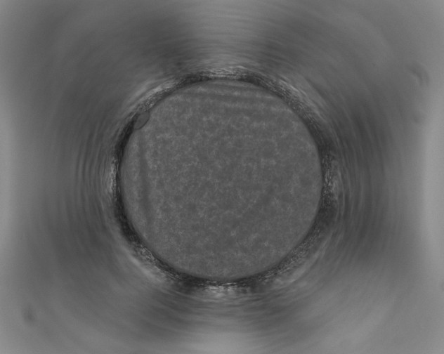 X0000110940744200907171608