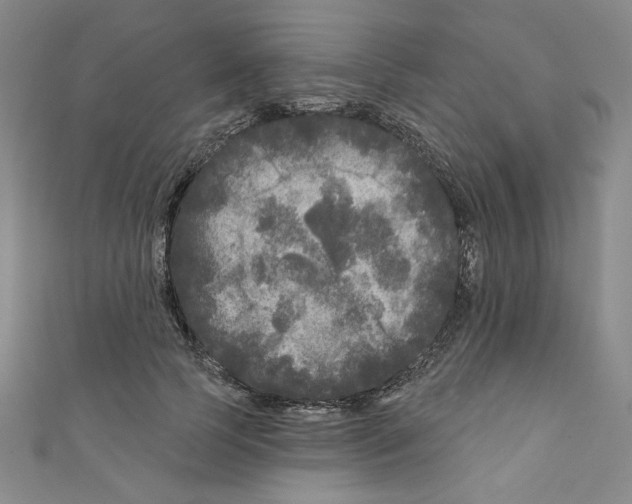 X0000110940745200907171608