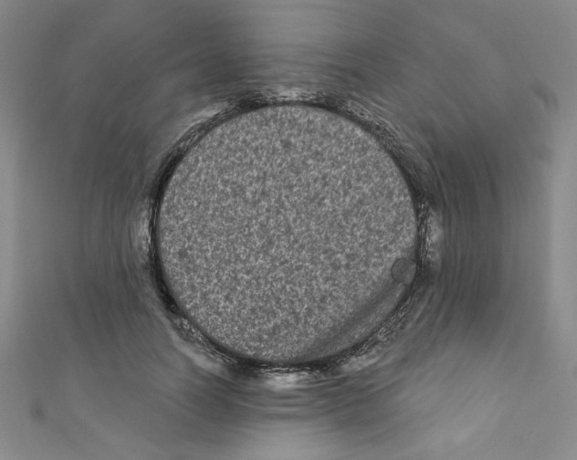 X0000110940746200907171608