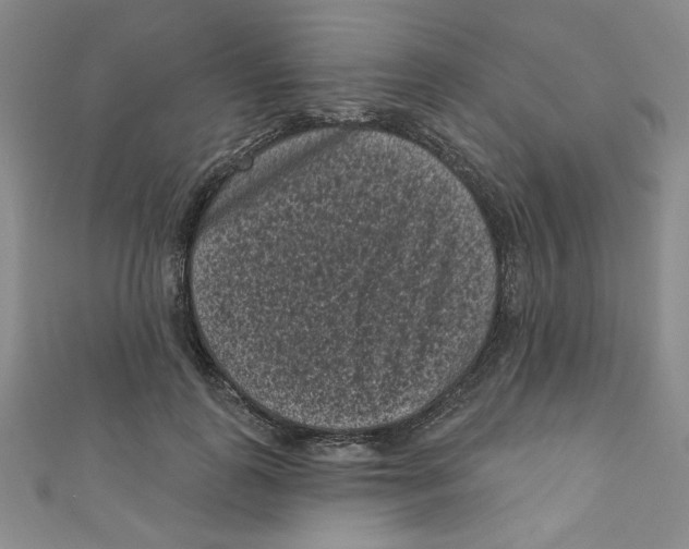 X0000110940747200907171608