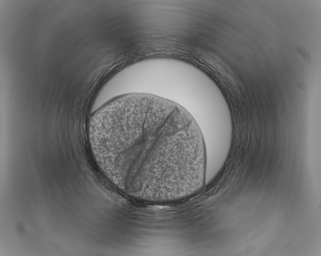 X0000110940748200907171608