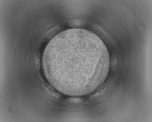 X0000110940749200907171608
