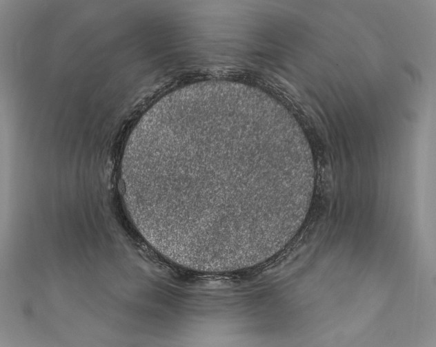 X0000110940750200907171608