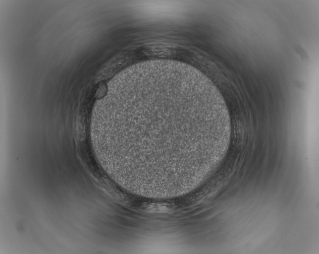X0000110940751200907171608