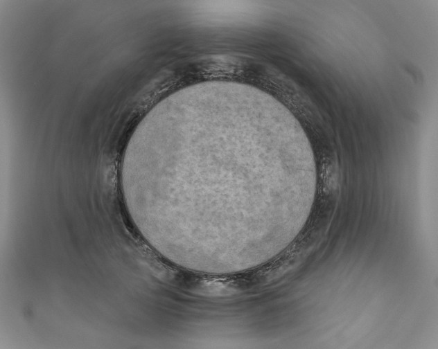 X0000110940753200907171608