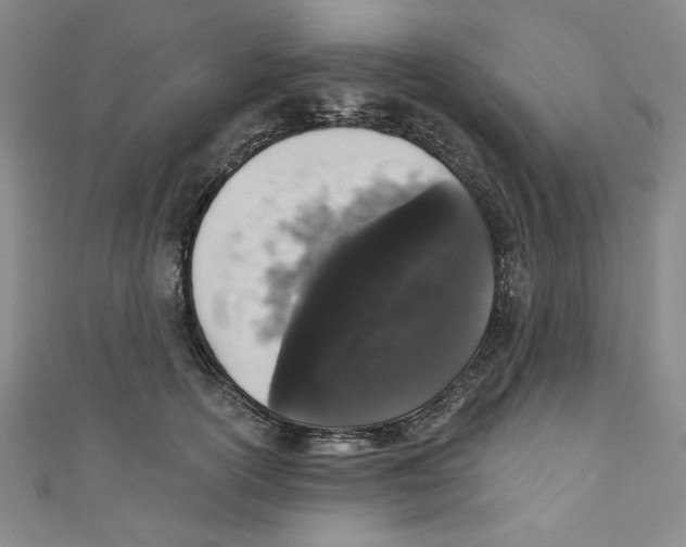 X0000110940754200907171608