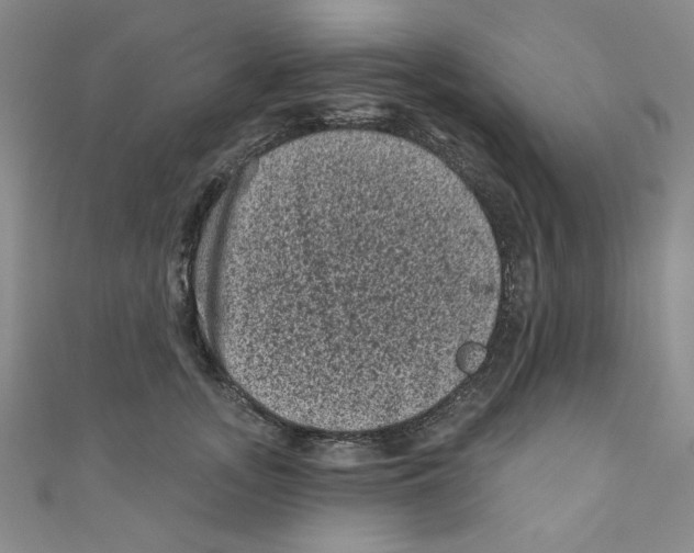 X0000110940755200907171608