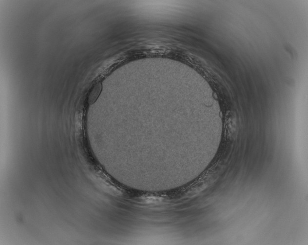 X0000110940756200907171608