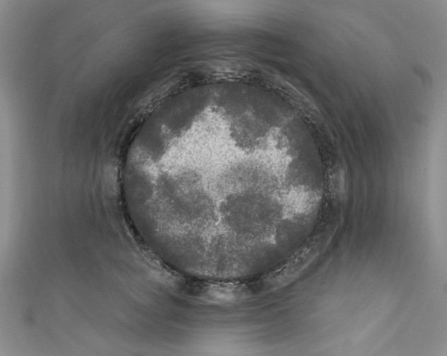 X0000110940757200907171608