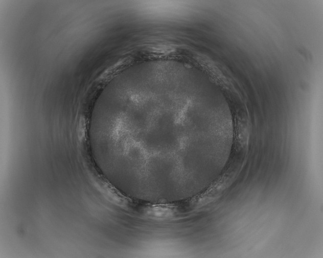 X0000110940758200907171608