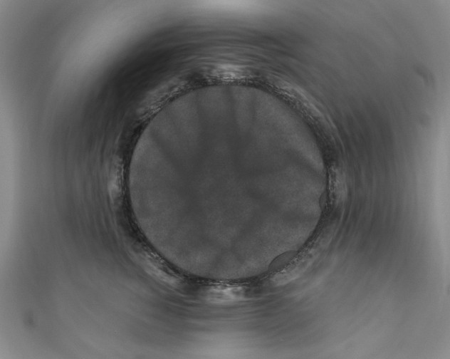 X0000110940760200907171608