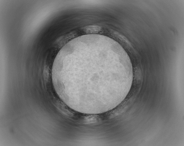 X0000110940761200907171608