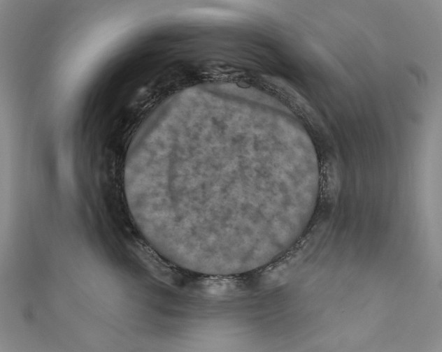 X0000110940762200907171608