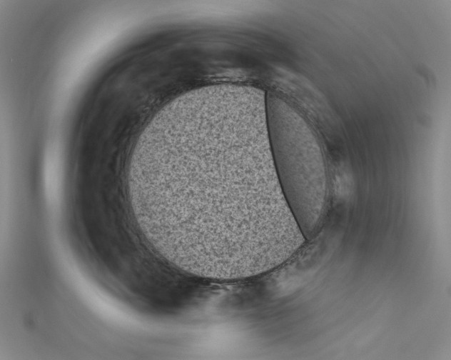 X0000110940764200907171608