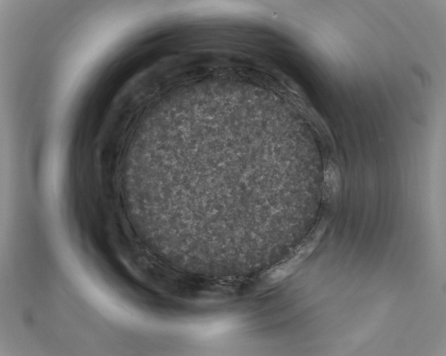 X0000110940765200907171608