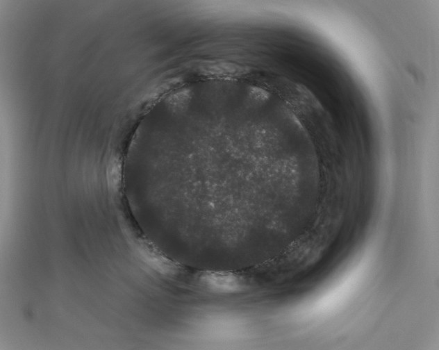 X0000110940767200907171608