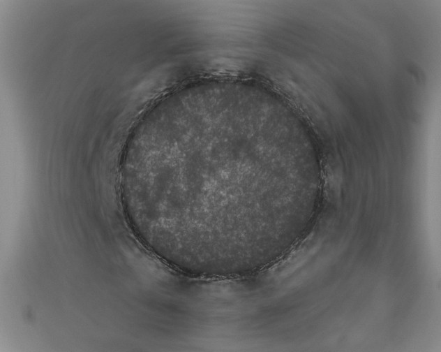 X0000110940769200907171607