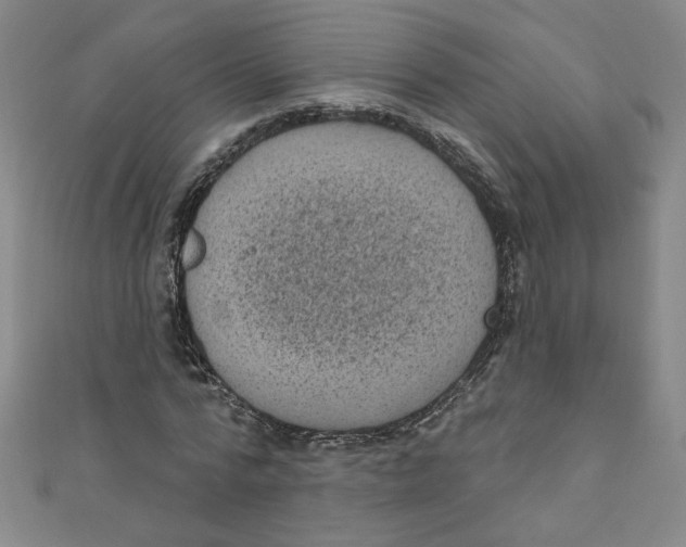 X0000110940776200907171607
