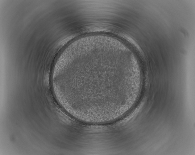 X0000110940777200907171607