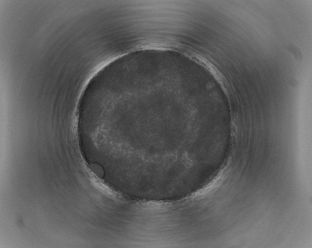 X0000110940779200907171607