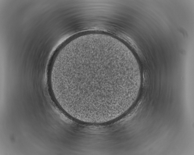 X0000110940780200907171607