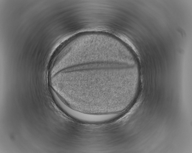 X0000110940781200907171607