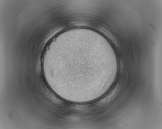 X0000110940782200907171607