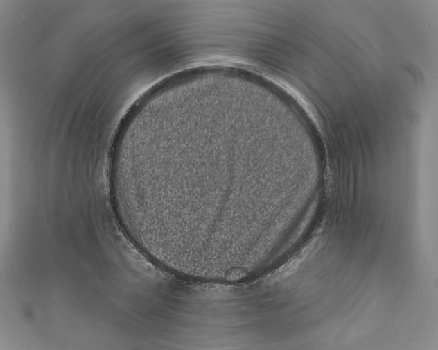 X0000110940783200907171607