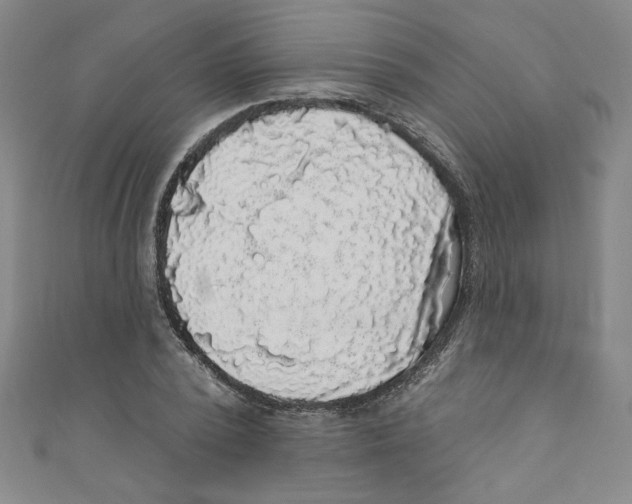 X0000110940784200907171607