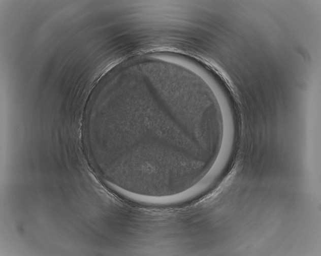 X0000110940785200907171607