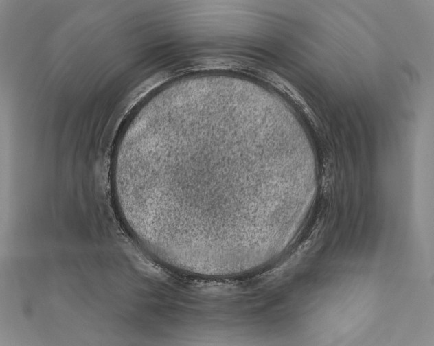 X0000110940786200907171607