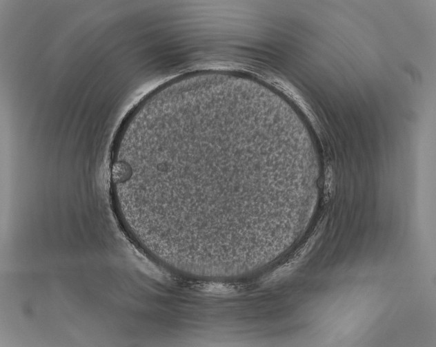 X0000110940787200907171607