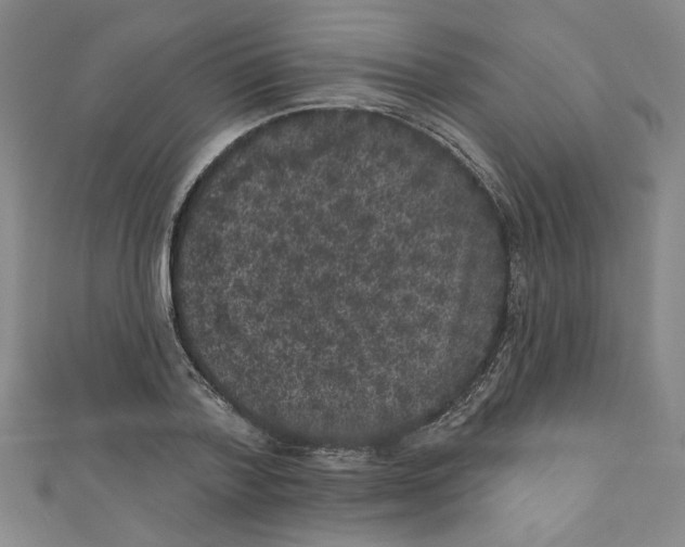 X0000110940788200907171607