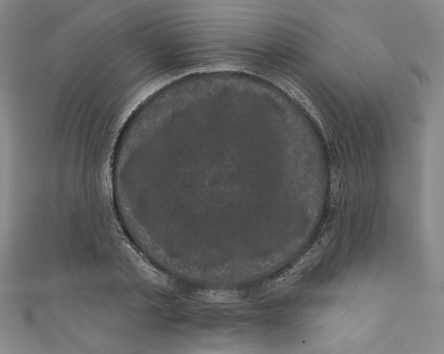 X0000110940789200907171607
