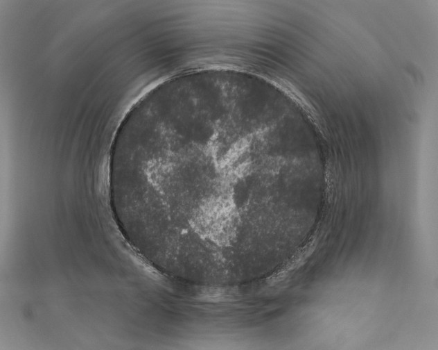 X0000110940790200907171607