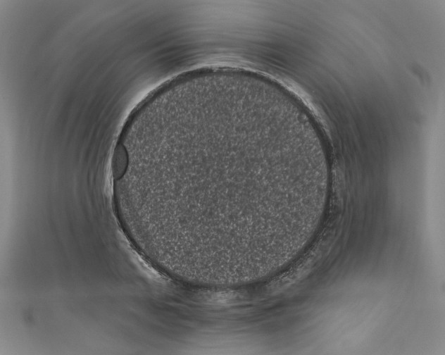X0000110940791200907171607
