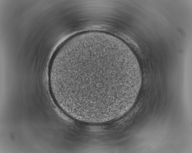 X0000110940792200907171607