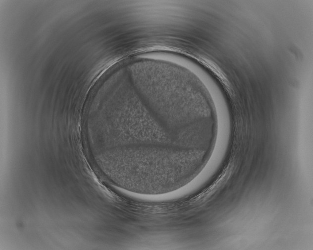 X0000110940793200907171607