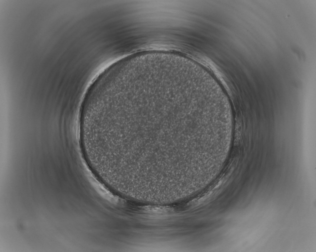 X0000110940795200907171607