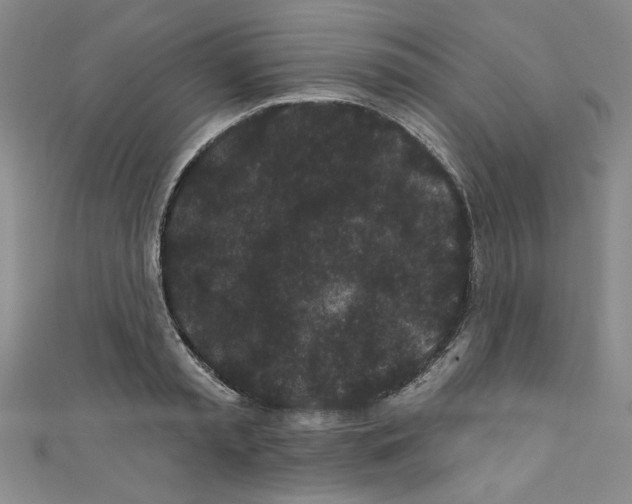 X0000110940797200907171607