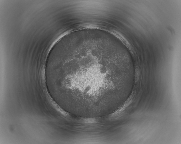 X0000110940798200907171607